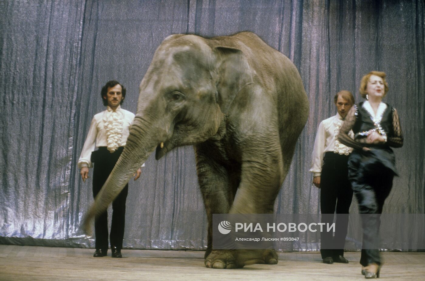 Наталья Дурова со слонихой Дашей