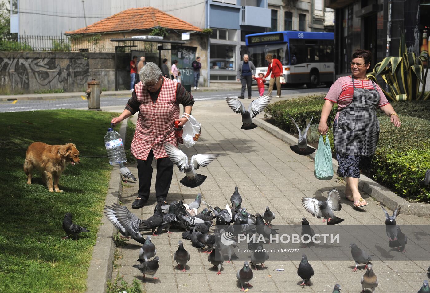 Города мира. Порту