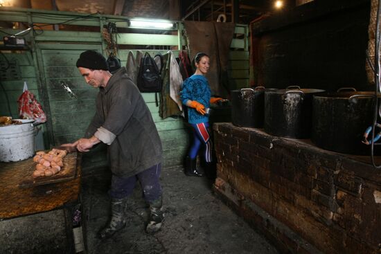 Работа приюта для собак в Новосибирске