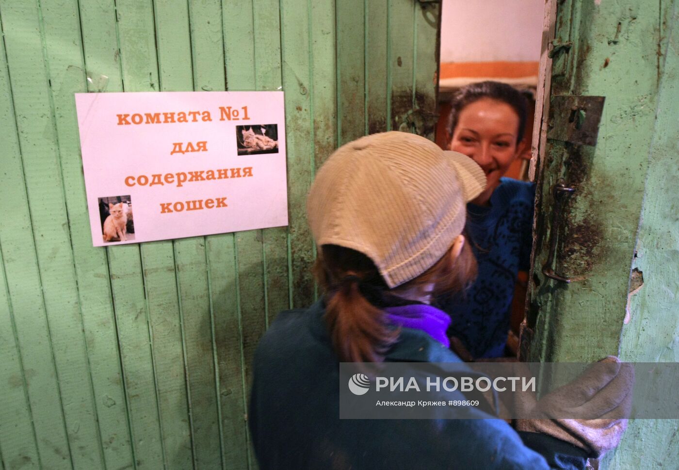 Работа приюта для собак в Новосибирске