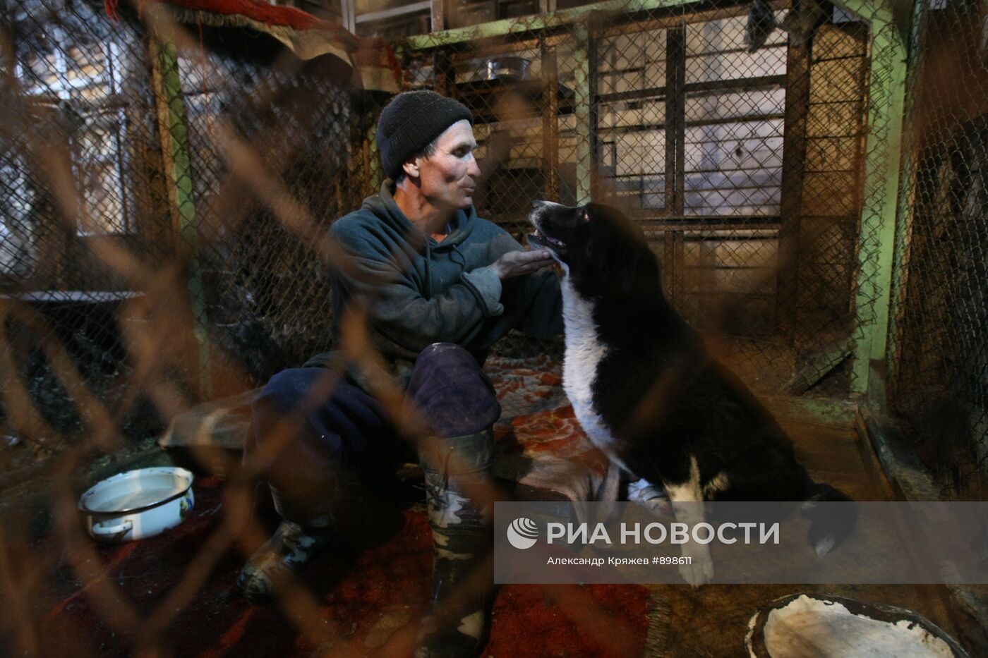 Работа приюта для собак в Новосибирске