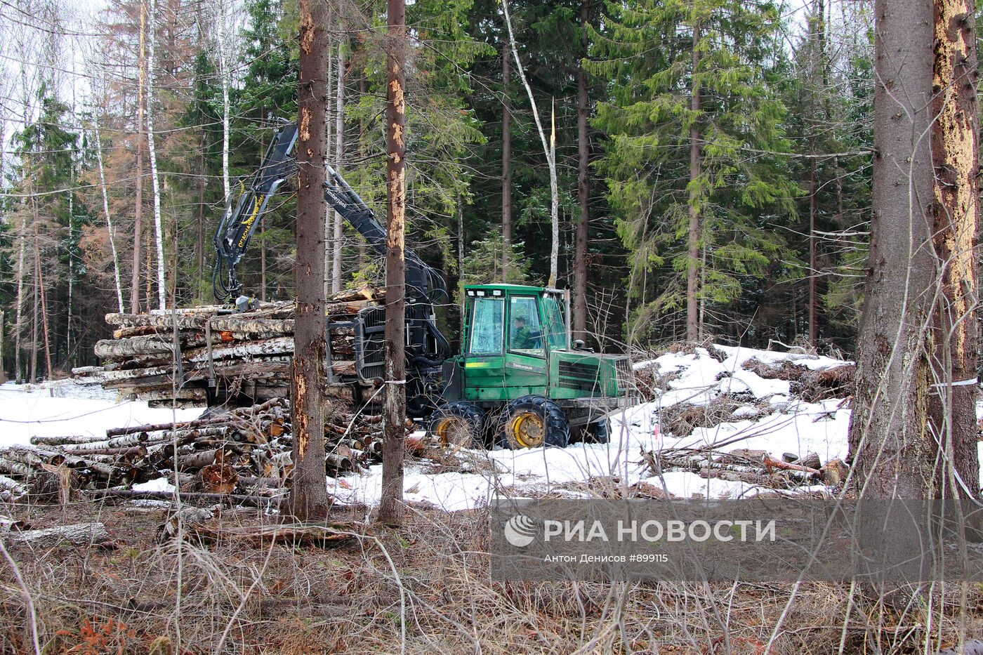 Начало строительства трассы через Химкинский лес