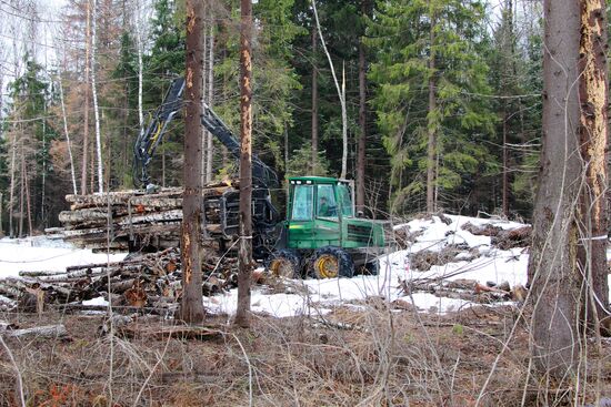 Начало строительства трассы через Химкинский лес