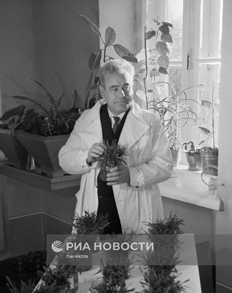 Василий Ремесло