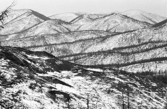 Артель старателей "Восток" на Джугджуре