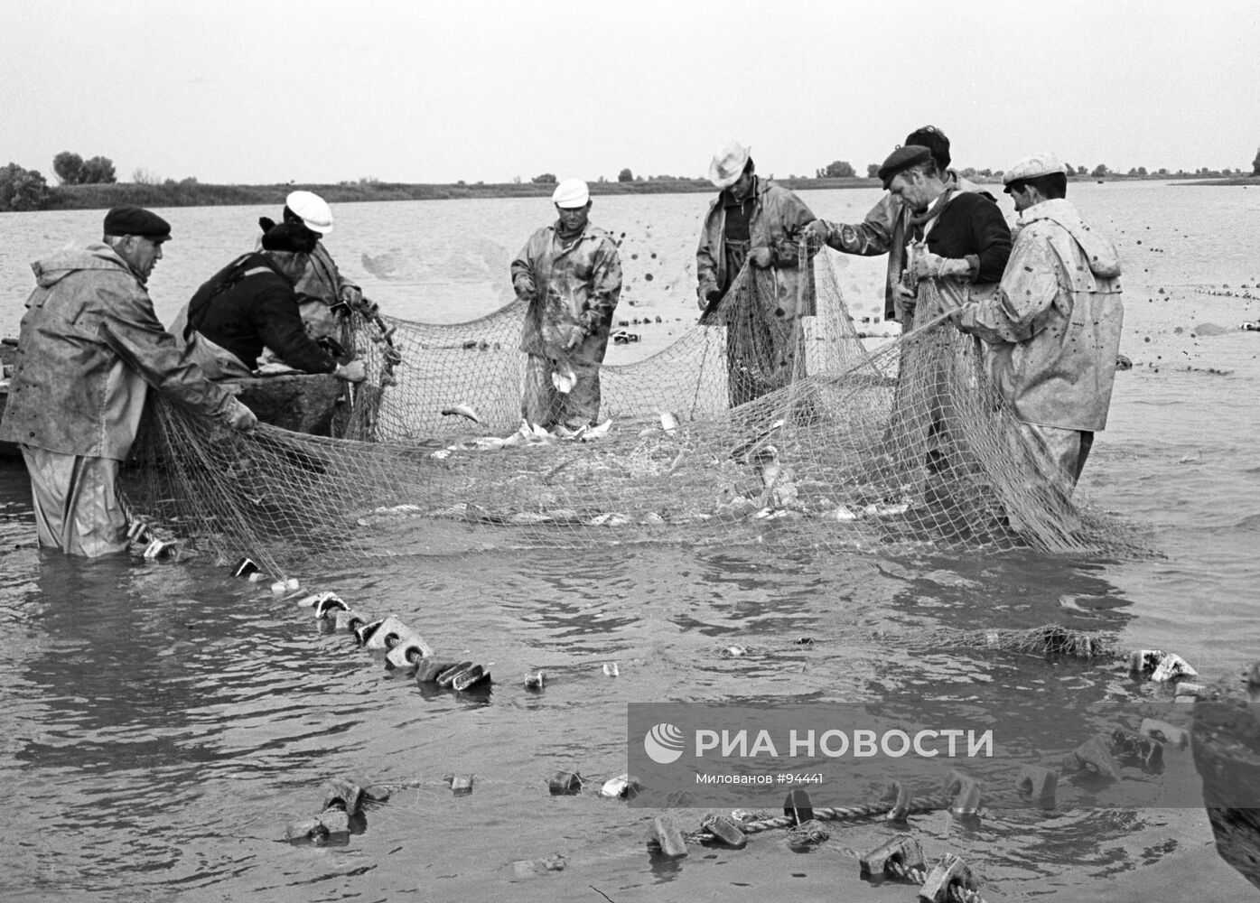 РЫБАКИ НЕВОД РЫБЫ | РИА Новости Медиабанк