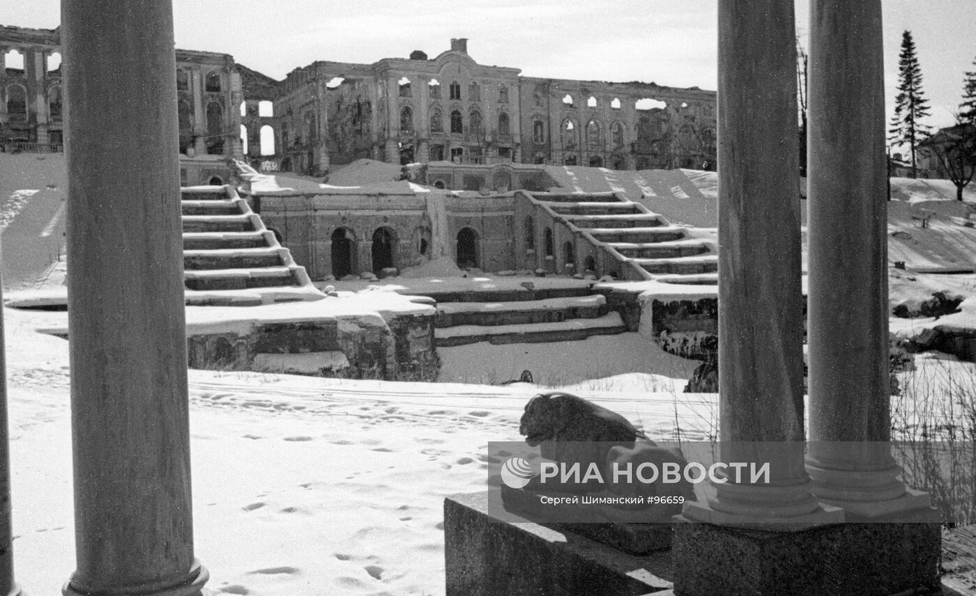 Великая Отечественная война 1941-1945 гг.