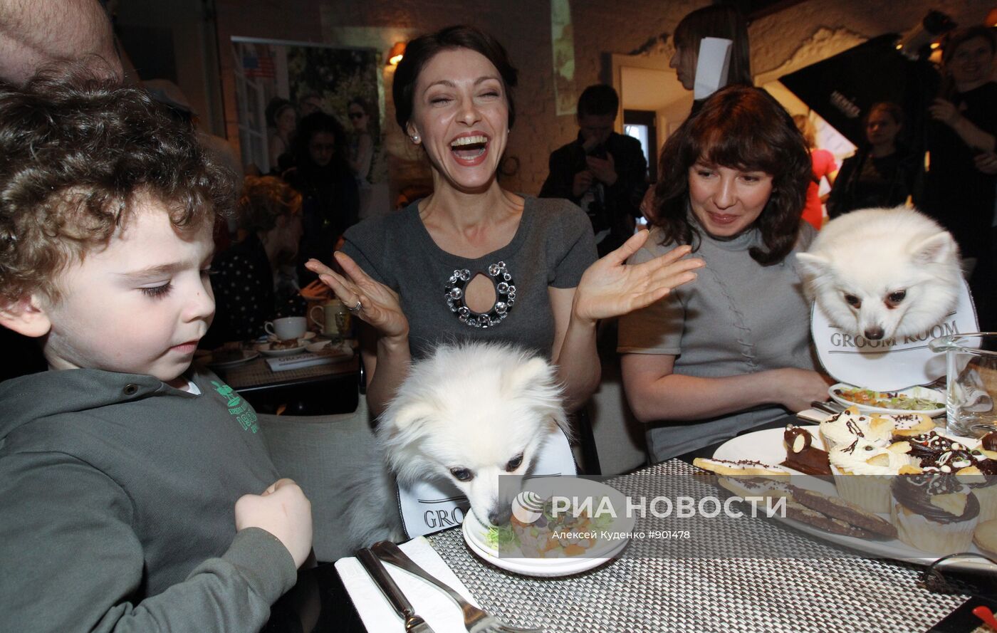 Открытие кафе для животных в Groom Room