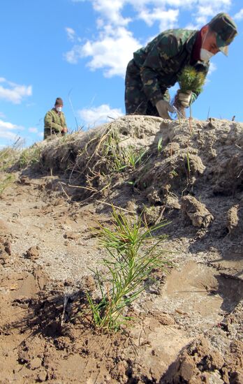 Зона отчуждения Чернобыльской АЭС