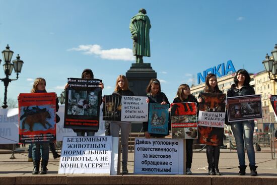 Митинг "Россия без жестокости" в Москве