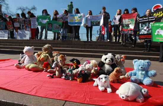 Митинг "Россия без жестокости" в Москве