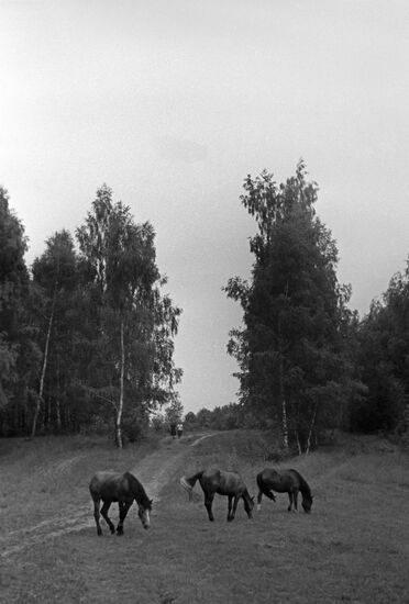 Подмосковье