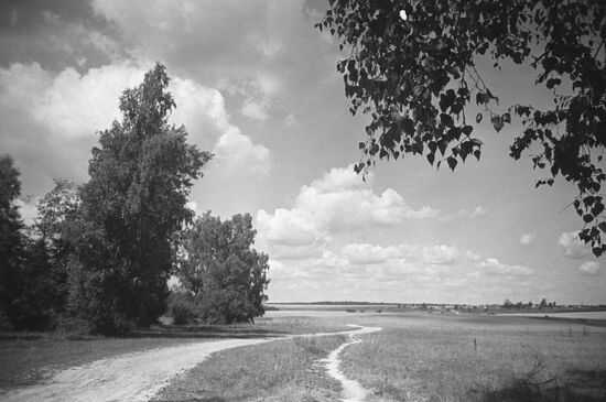 Летние зарисовки