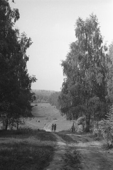 Дорога в лесу