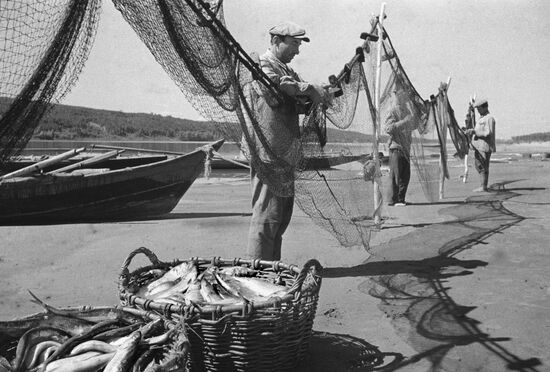 Рыба и рыбаки