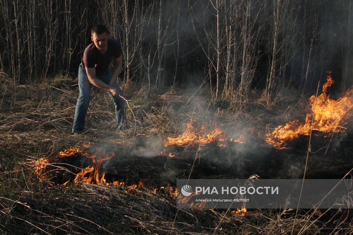 Лесные пожары в Омской области