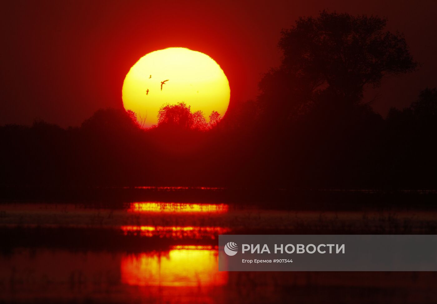 Закат над рекой Припять в деревне Туров