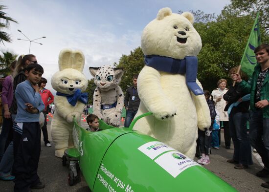 Талисманы Олимпиады в Сочи-2014 Зайка, Леопард и Белый мишка