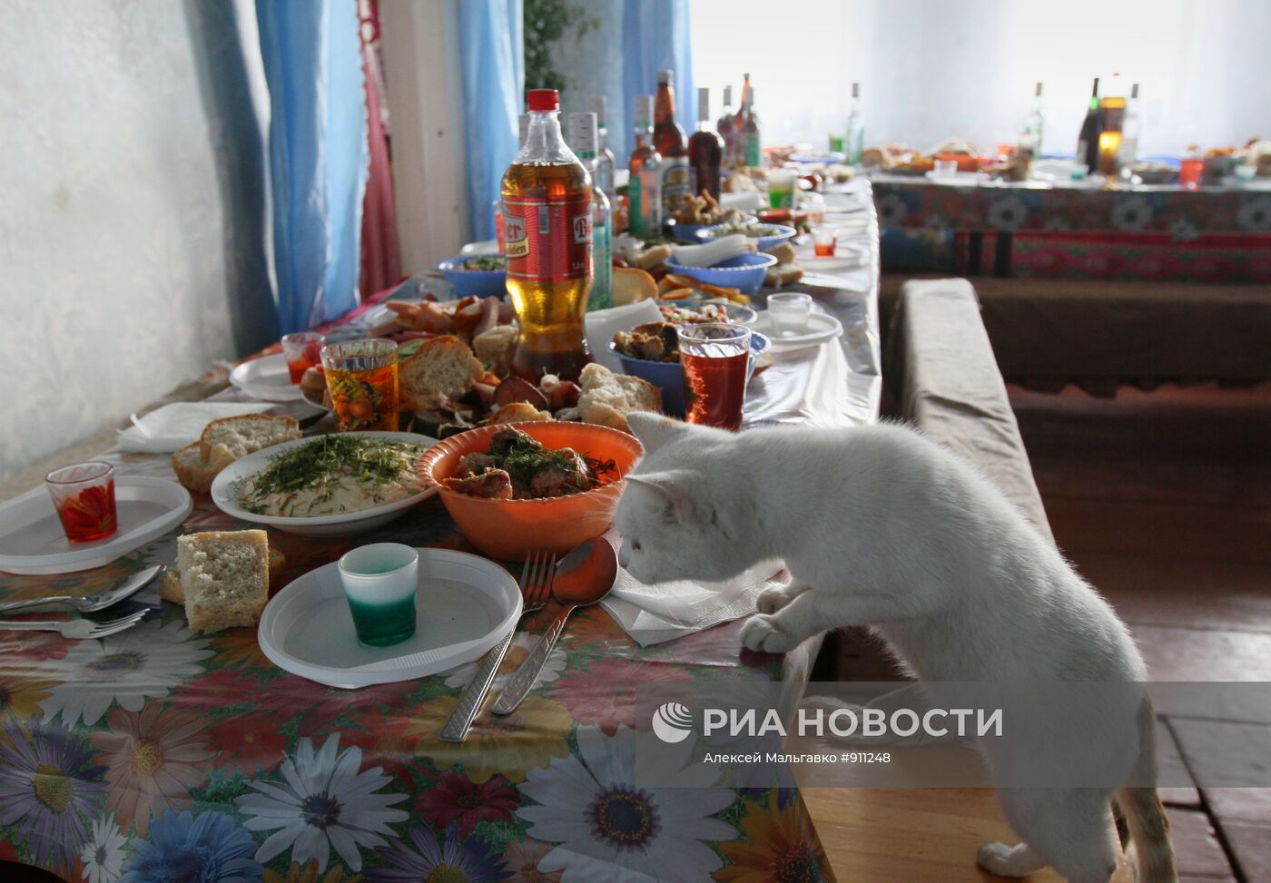 Проводы в армию жителя деревни Гриневичи Омской области