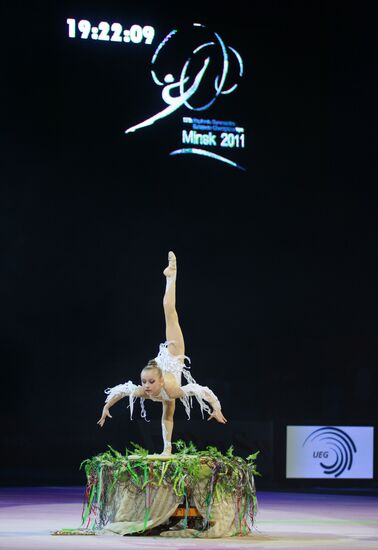 Художественная гимнастика. Чемпионат Европы. Церемония открытия