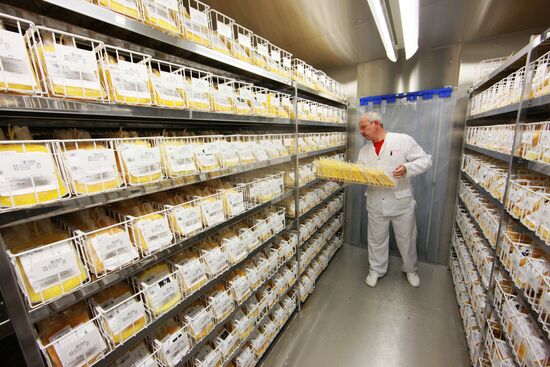 Работа центра переливания крови ФМБА России