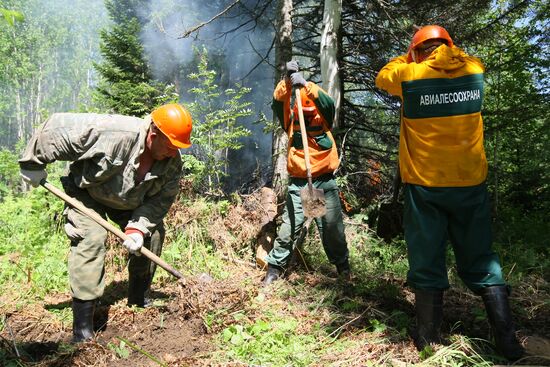 Борьба с лесными пожарами в Красноярском крае