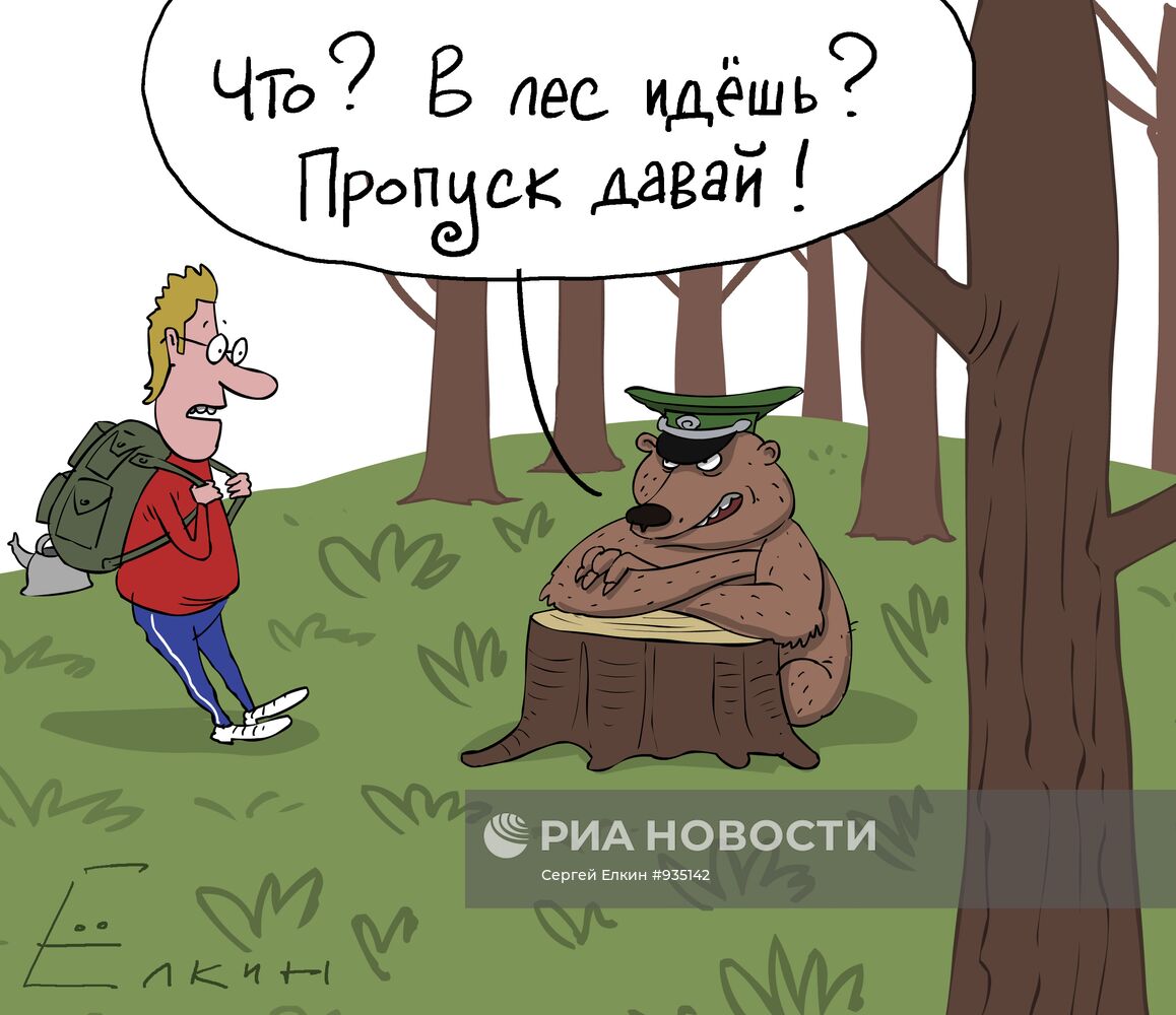 Жители Томской области могут посещать лес только по пропускам