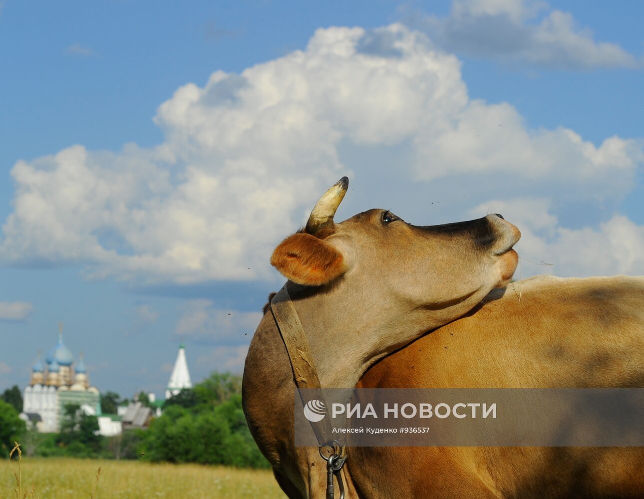 Золотое кольцо России. Суздаль