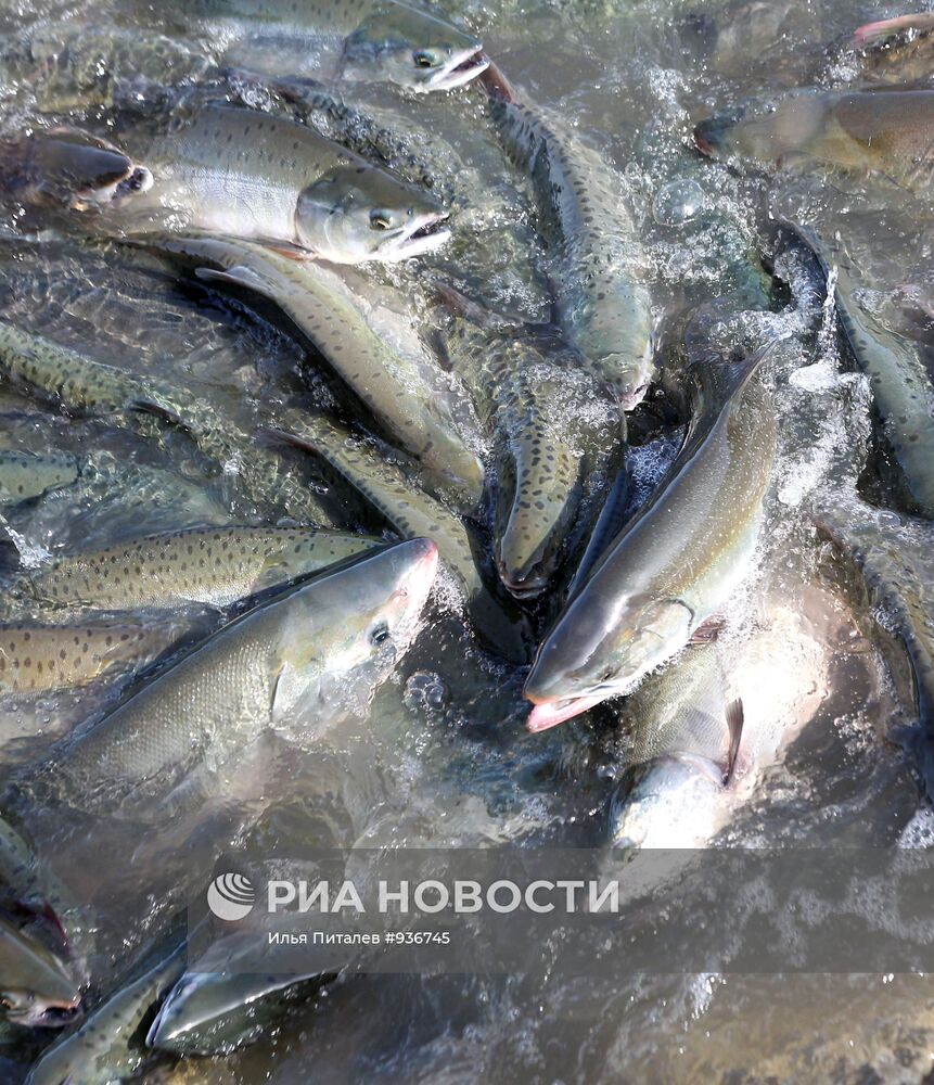 Города России. Анадырь