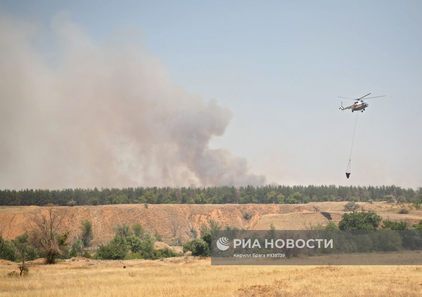Лесные пожары в Волгоградской области