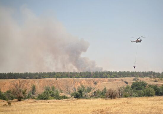 Лесные пожары в Волгоградской области