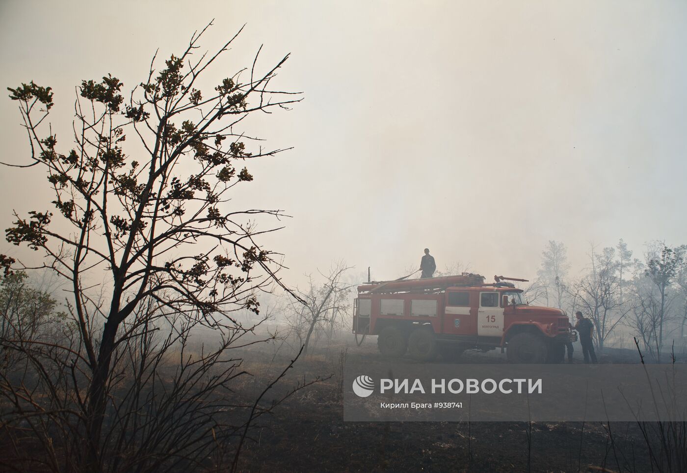 Лесные пожары в Волгоградской области