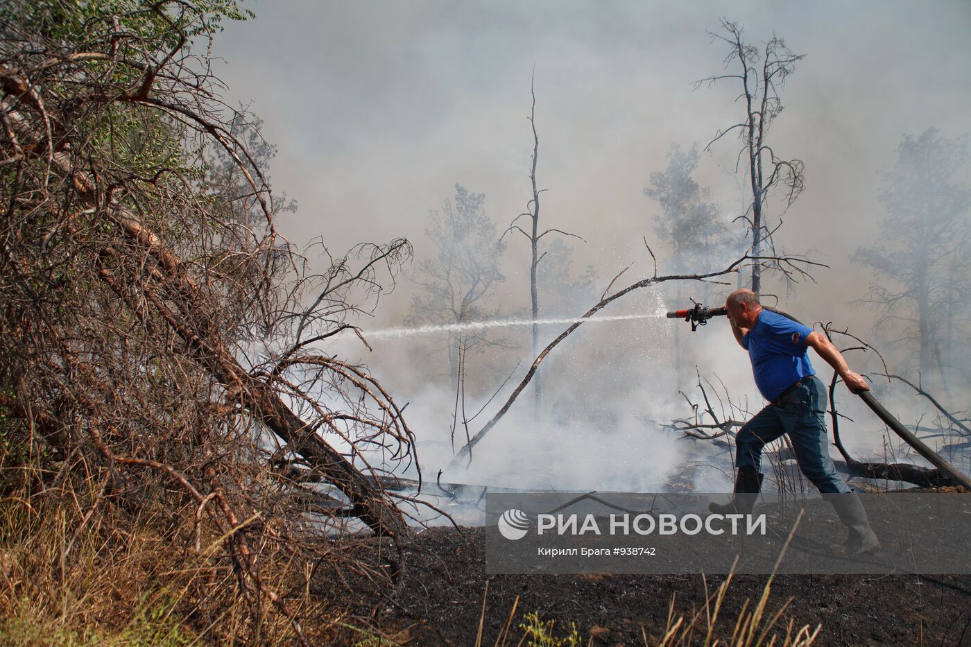 Лесные пожары в Волгоградской области