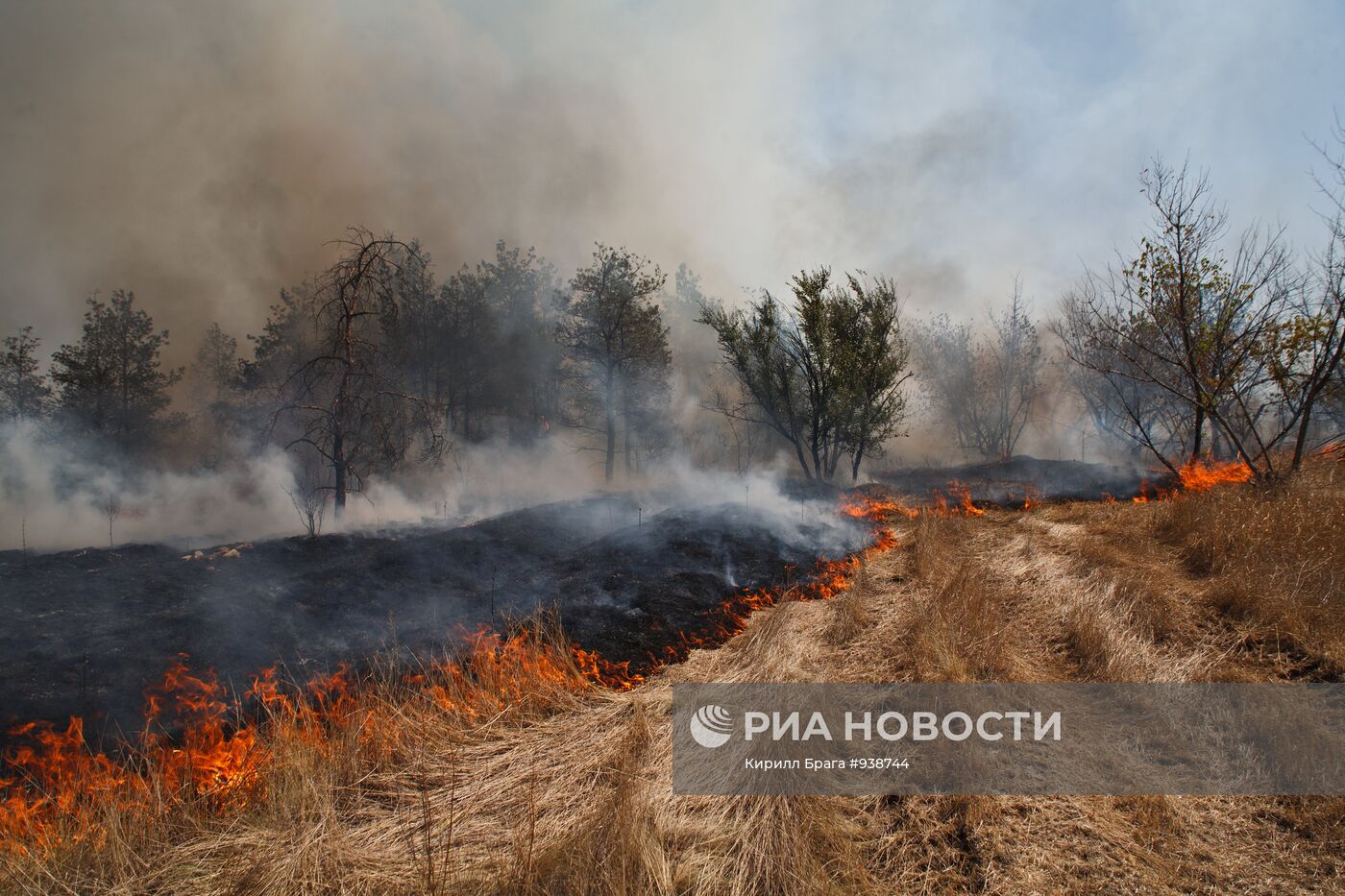 Лесные пожары в Волгоградской области