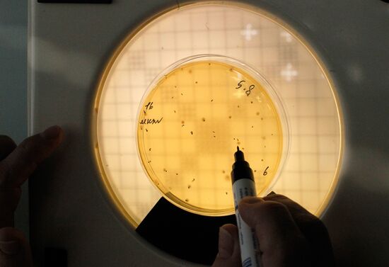 Работа завода Danone-Юнимилк в Московской области