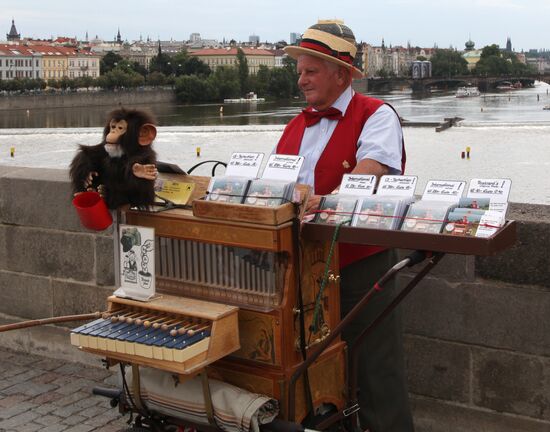 Шарманщик на Карловом мосту в Праге