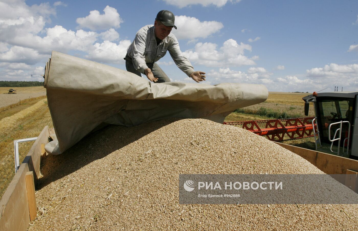 Сбор урожая пшеницы в поле около деревни Птич Минского района