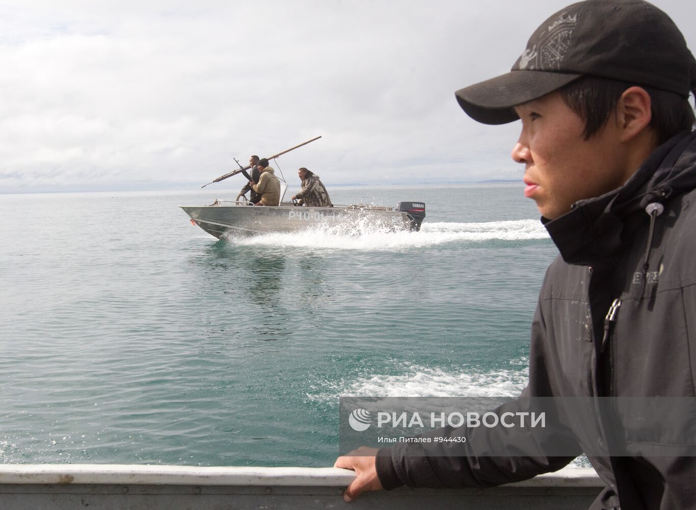 Промысел моржей на Чукотке