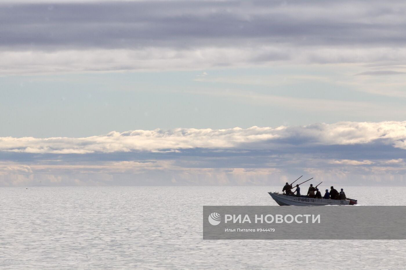 Промысел моржей на Чукотке