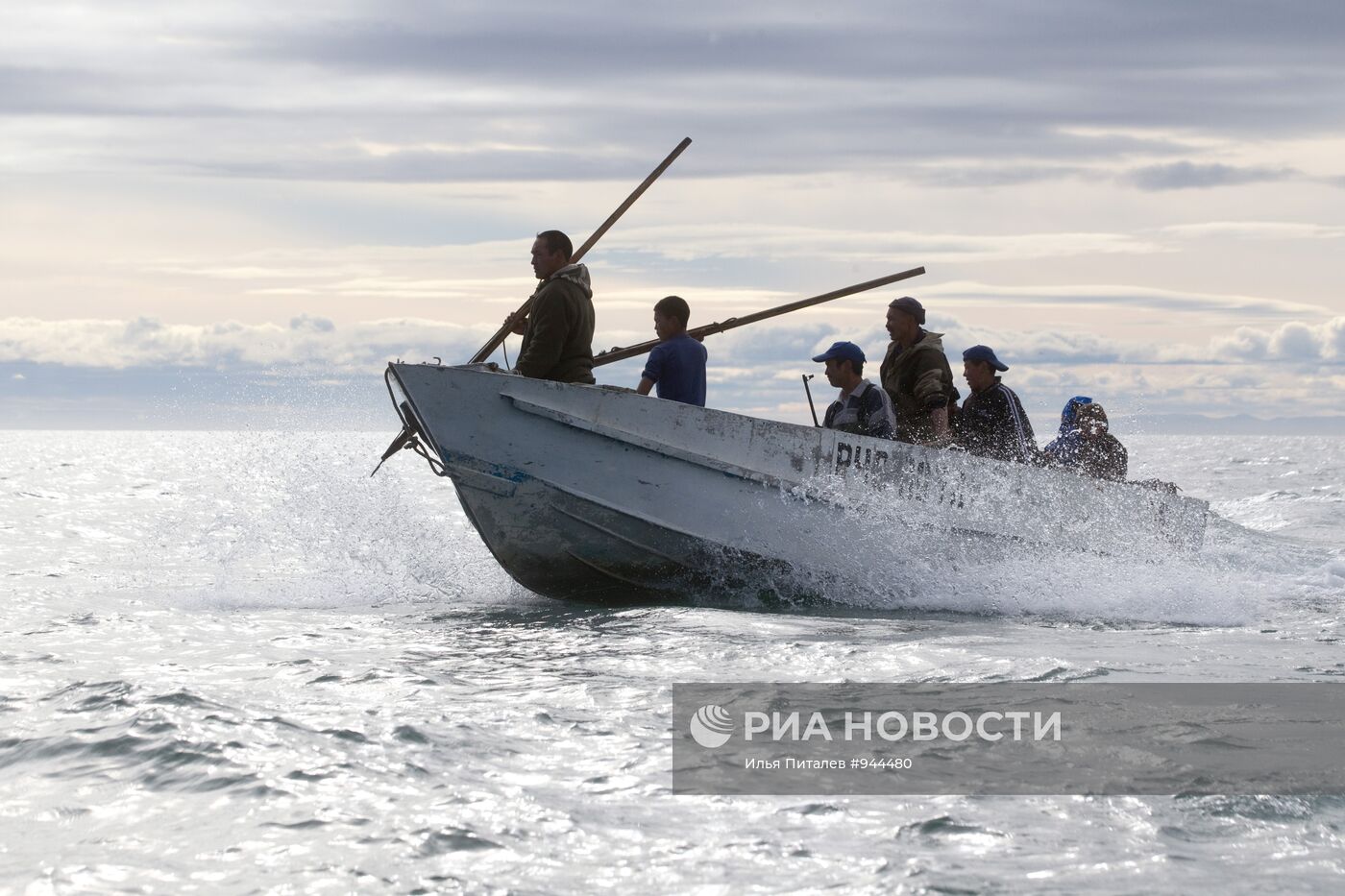 Промысел моржей на Чукотке