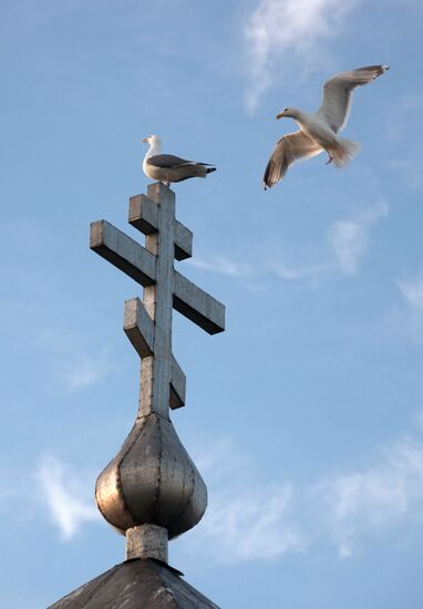 Регионы России. Чукотский район Чукотского автономного округа