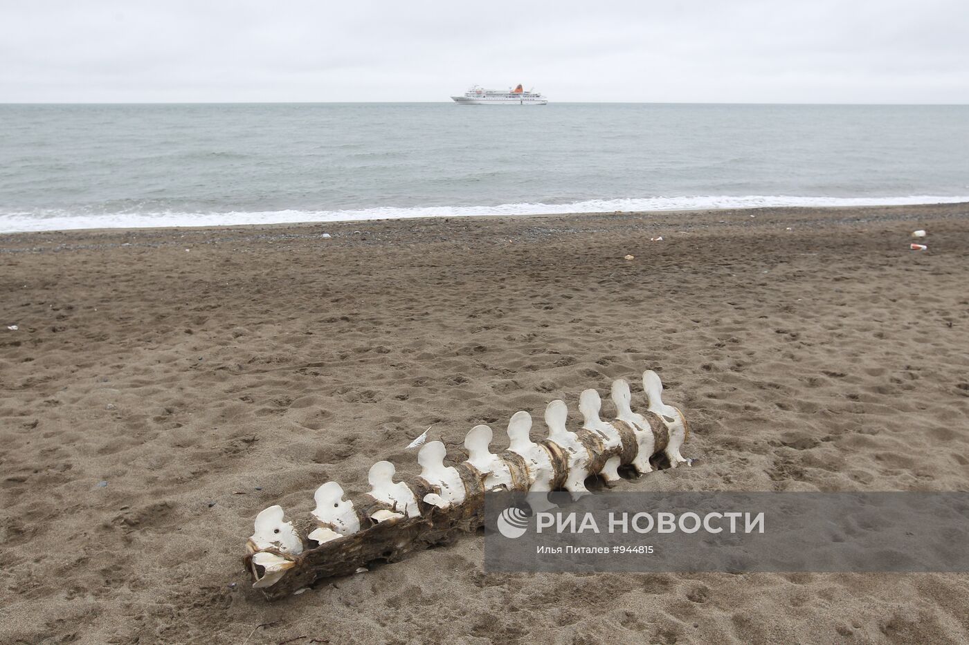 Регионы России. Чукотский район Чукотского автономного округа