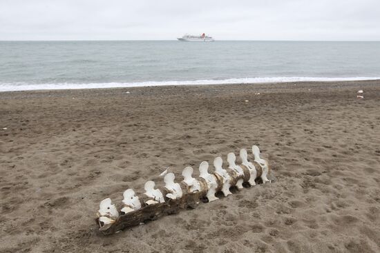 Регионы России. Чукотский район Чукотского автономного округа