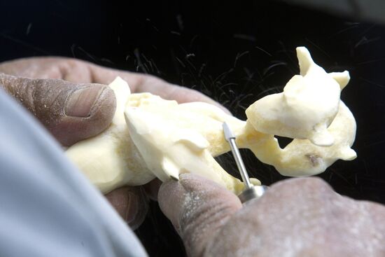 Регионы России. Чукотский район Чукотского автономного округа