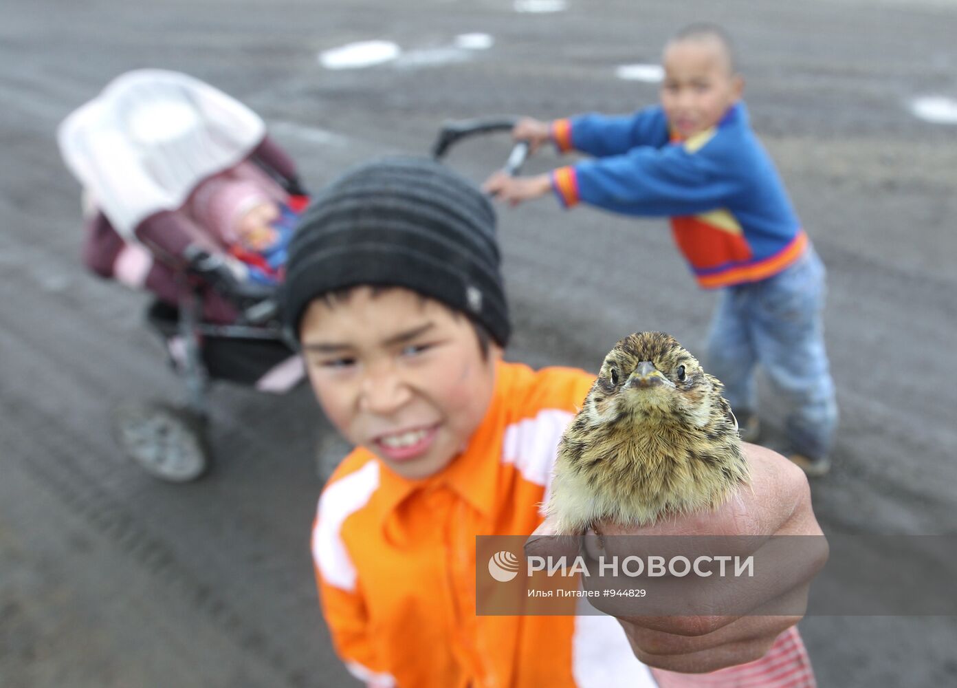 Регионы России. Чукотский район Чукотского автономного округа