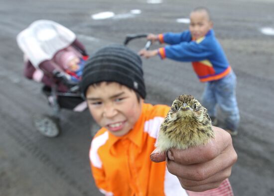 Регионы России. Чукотский район Чукотского автономного округа