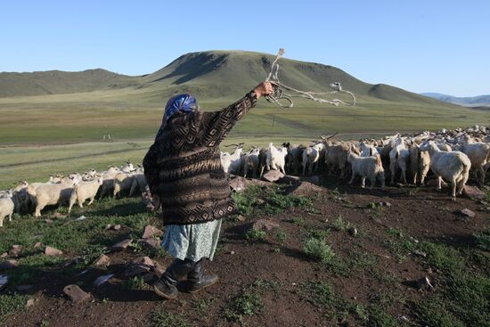 Стоянка чабанов-тысячников в местечке Кара-суг в Республике Тыва