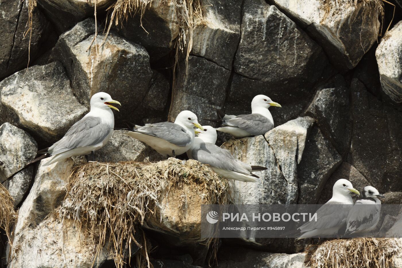 Виды Камчатки