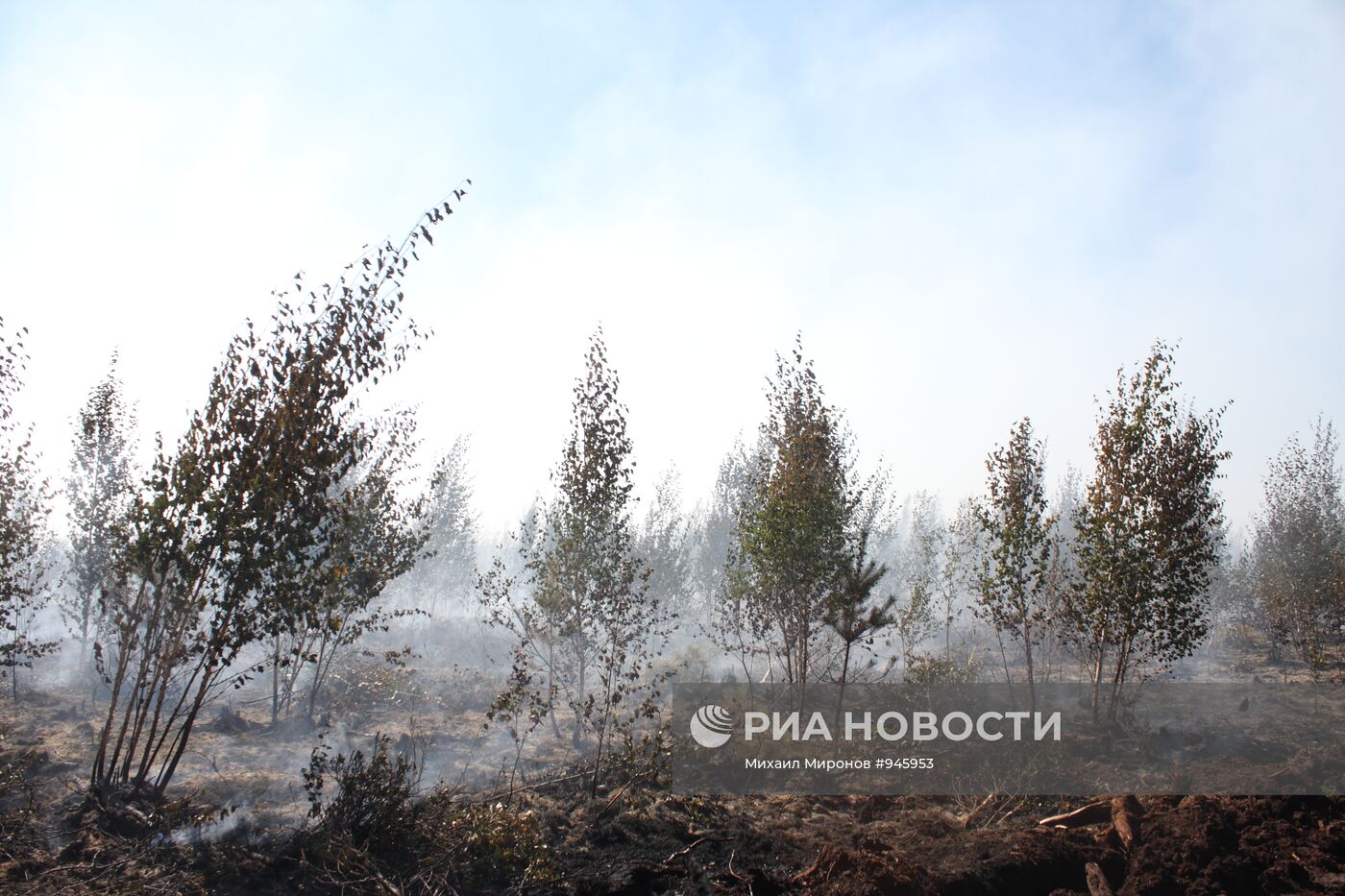 Тушение лесного пожара в Егорьевском районе Московской области