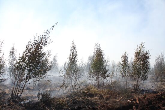 Тушение лесного пожара в Егорьевском районе Московской области
